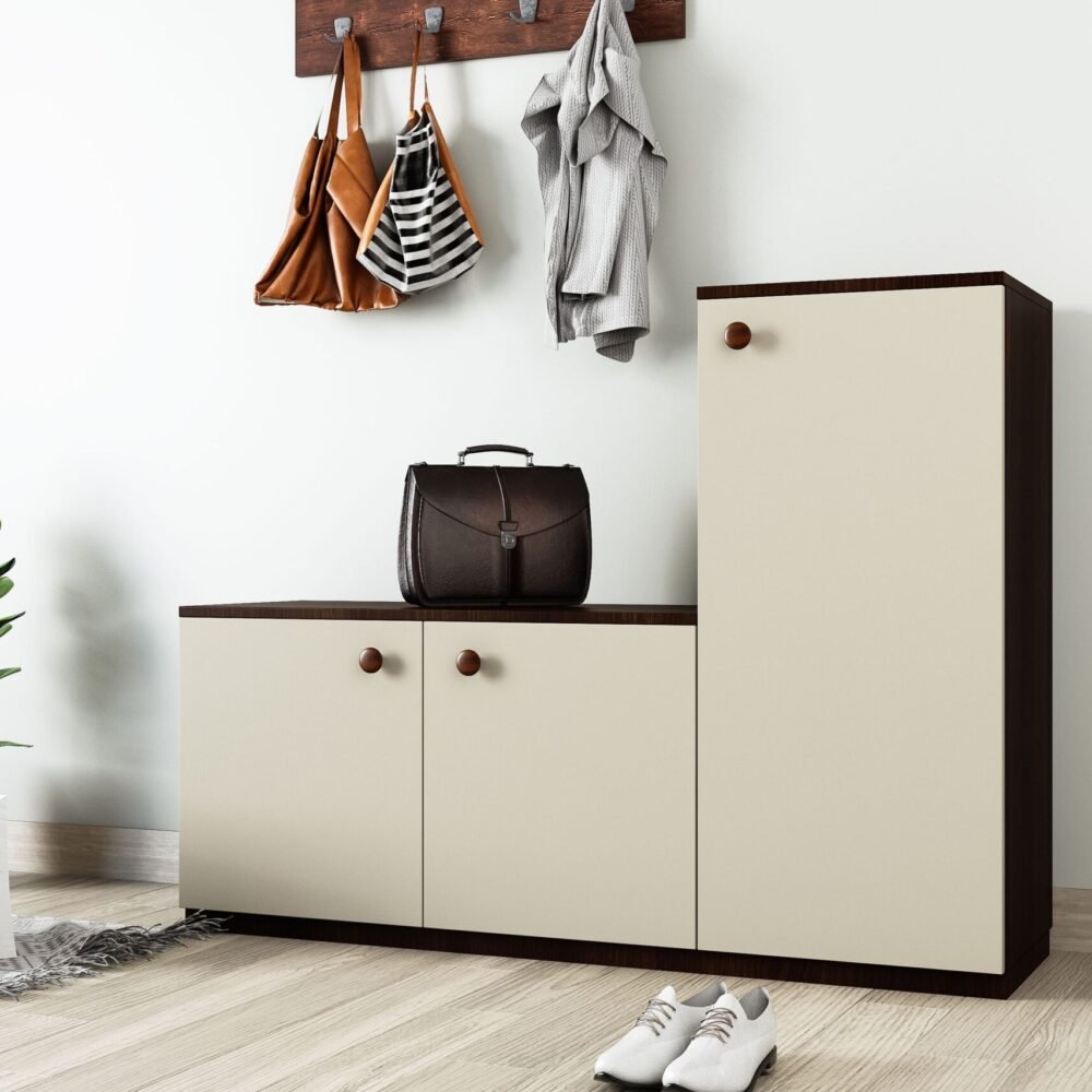 Pumic Grey and Canadian Walnut Modern Foyer Design