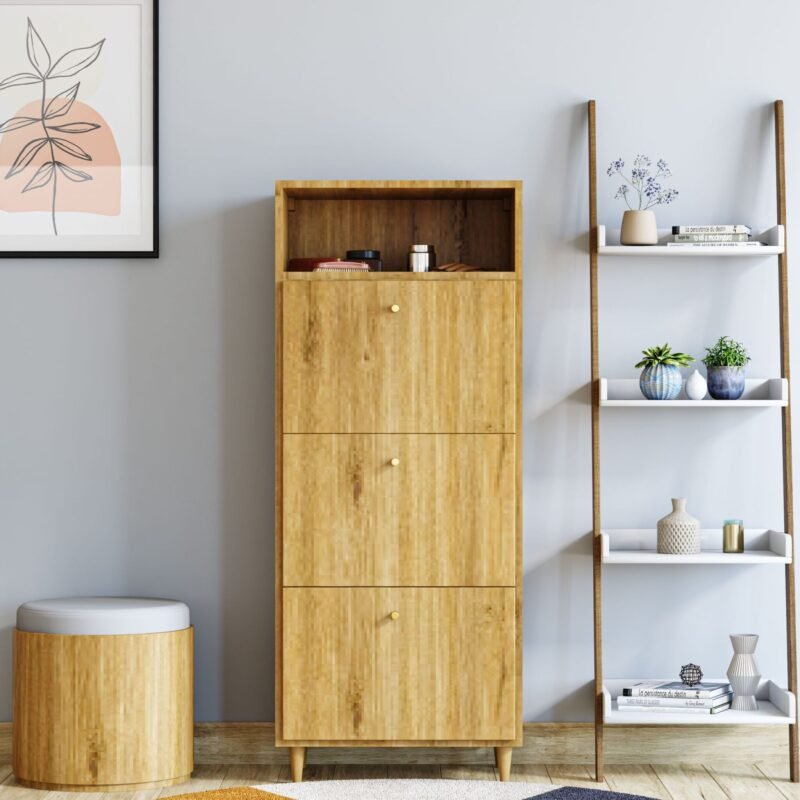 Bright Modern Foyer Design with Floor Mounted Closed Storage