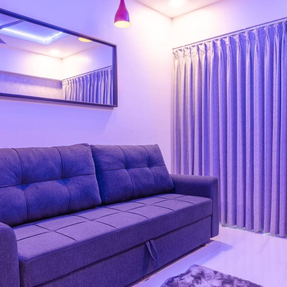 Bold Purple Walls and Sleek Sofa Space Saving Modern Design