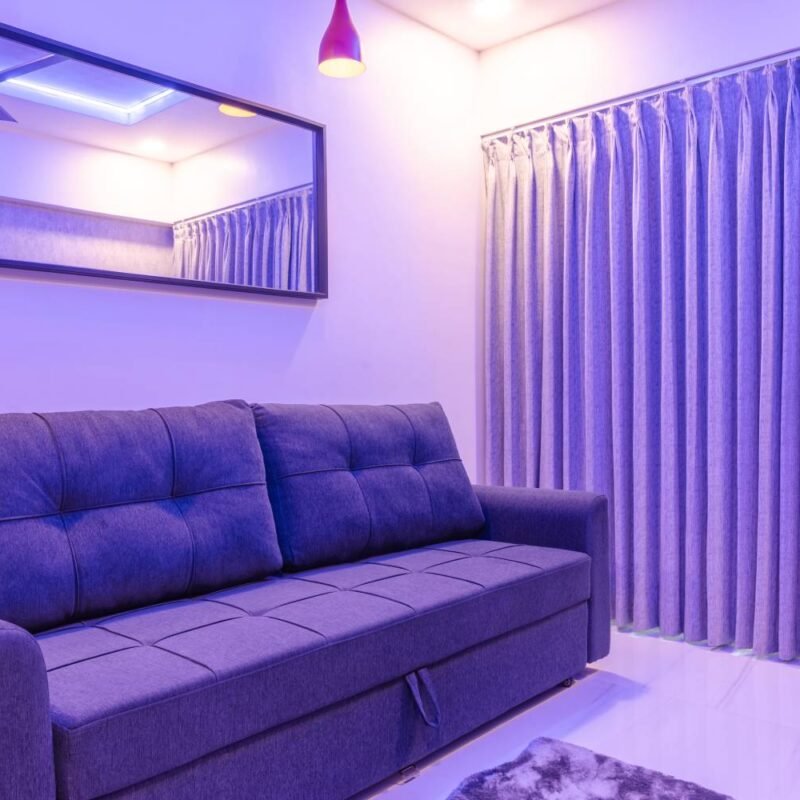 Bold Purple Walls and Sleek Sofa Space Saving Modern Design